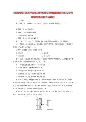 （江蘇專版）2022年高考生物一輪復(fù)習(xí) 課時跟蹤檢測（九）ATP與細(xì)胞呼吸的過程（含解析）