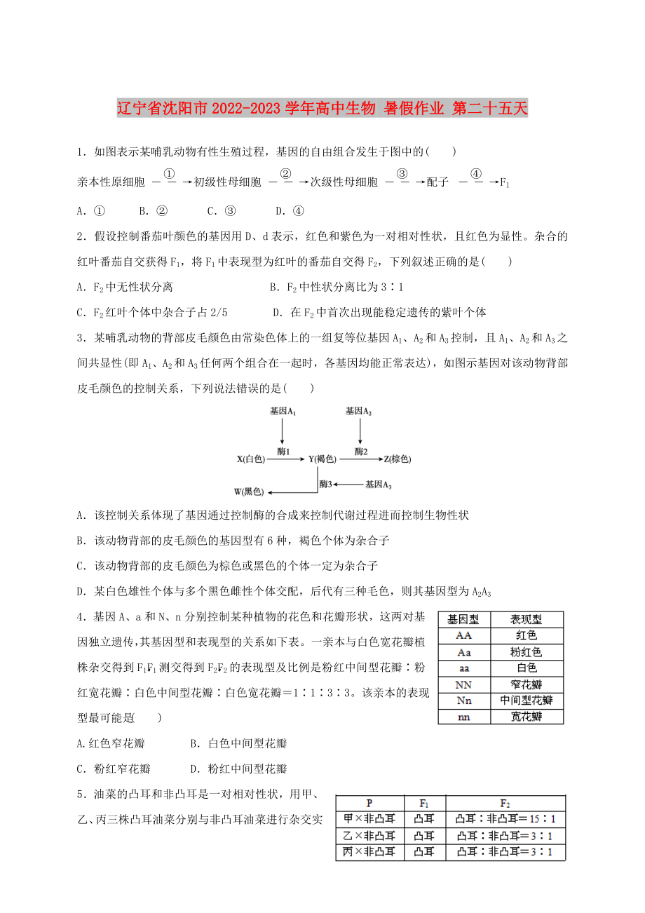 辽宁省沈阳市2022-2023学年高中生物 暑假作业 第二十五天_第1页