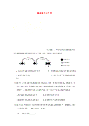 2020年中考化學(xué)真題分類匯編 2 我們身邊的物質(zhì) 考點(diǎn)10 碳和碳的化合物 2 二氧化碳 1 性質(zhì)和用途 4 新信息題（無(wú)答案）