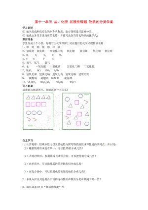 四川省宜賓縣雙龍鎮(zhèn)初級中學(xué)九年級化學(xué)下冊 第十一單元 鹽、化肥 拓展性課題 物質(zhì)的分類學(xué)案（無答案）（新版）新人教版