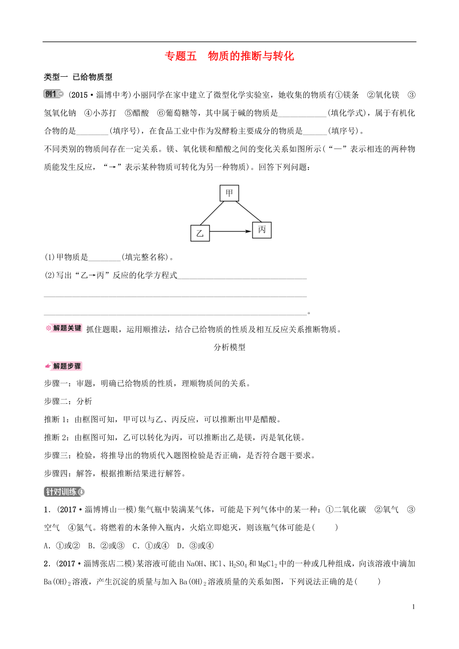 （淄博專(zhuān)版）2019屆中考化學(xué)復(fù)習(xí) 第2部分 專(zhuān)題類(lèi)型突破 專(zhuān)題五 物質(zhì)的推斷與轉(zhuǎn)化練習(xí)_第1頁(yè)