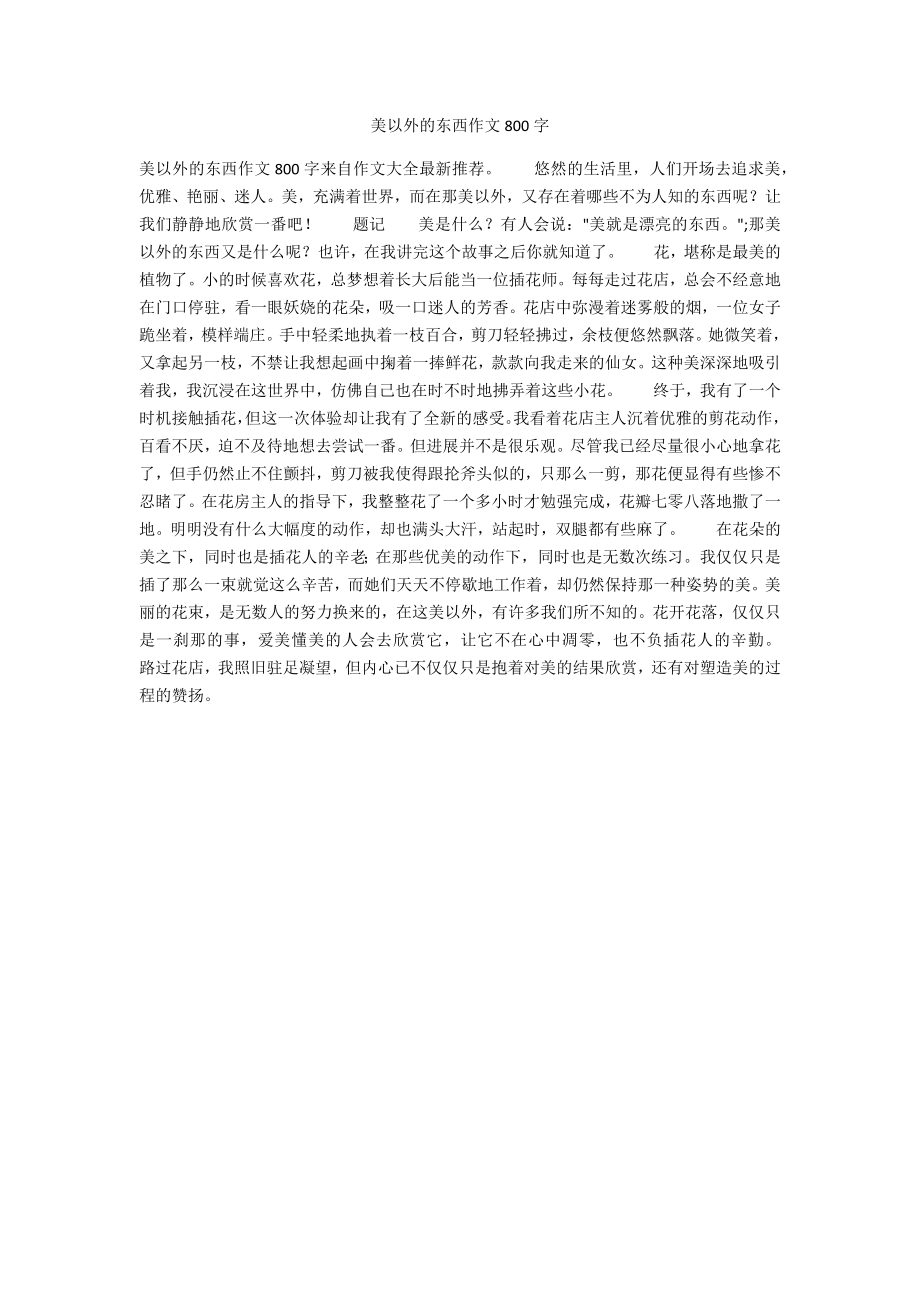 美以外的东西作文800字_第1页