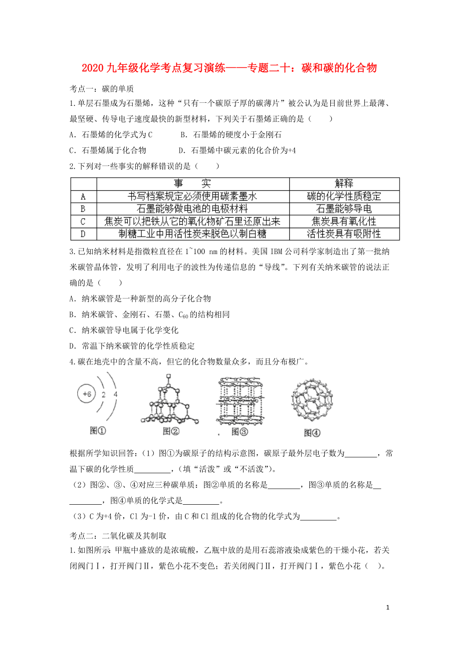 2020九年級化學考點復習演練 專題二十 碳和碳的化合物試題_第1頁