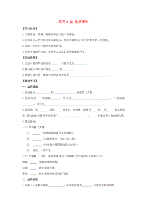 九年級(jí)化學(xué)下冊(cè) 專題七 初識(shí)酸、堿和鹽 單元3《鹽 化學(xué)肥料》學(xué)案2（無(wú)答案）（新版）湘教版（通用）