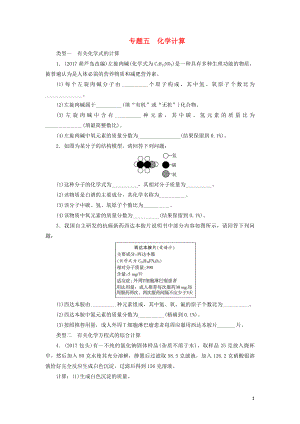 廣東省2018年中考化學(xué)總復(fù)習(xí) 專題五 化學(xué)計(jì)算課時(shí)練習(xí)