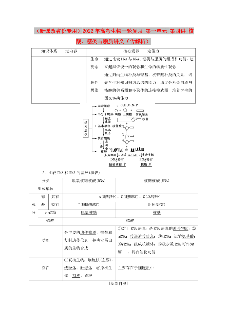 （新課改省份專用）2022年高考生物一輪復(fù)習(xí) 第一單元 第四講 核酸、糖類與脂質(zhì)講義（含解析）_第1頁(yè)