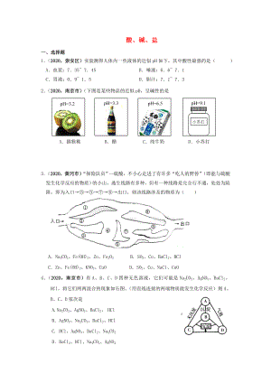 2020年全國(guó)中考化學(xué)模擬試卷匯編 酸、堿、鹽