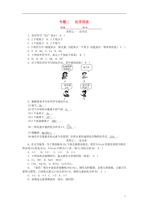 2018-2019學年度九年級化學上冊 期末專題二 化學用語課時練習 （新版）魯教版