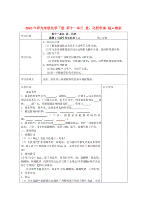 2020年春九年級(jí)化學(xué)下冊 第十一單元 鹽、化肥學(xué)案（無答案） 新人教版