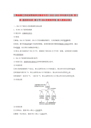 （粵渝冀遼蘇皖閩鄂湘津京魯瓊專用）2022-2023學(xué)年高中生物 第3章 基因的本質(zhì) 第3節(jié) DNA的復(fù)制學(xué)案 新人教版必修2