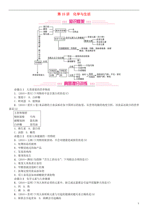 2019年中考化學(xué)復(fù)習(xí) 主題四 化學(xué)與社會發(fā)展 第15講 化學(xué)與生活專題練習(xí)