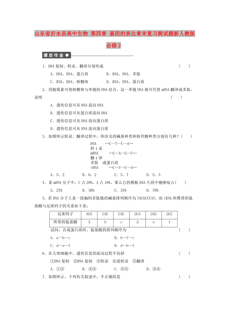 山東省沂水縣高中生物 第四章 基因的表達(dá)章末復(fù)習(xí)測試題新人教版必修2_第1頁