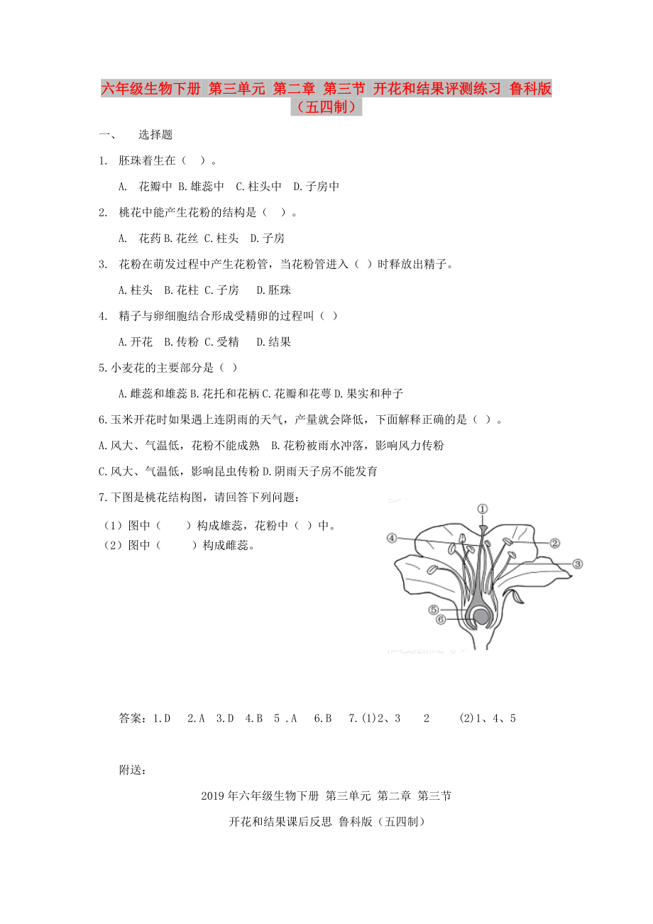 六年級(jí)生物下冊(cè) 第三單元 第二章 第三節(jié) 開花和結(jié)果評(píng)測(cè)練習(xí) 魯科版（五四制）_第1頁