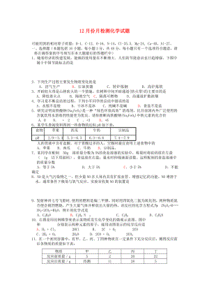 九年級化學12月份月檢測化學試題 滬教版（通用）