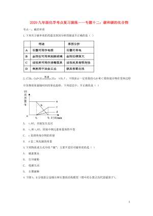 2020九年級化學(xué)考點復(fù)習(xí)演練 專題十二 碳和碳的化合物試題