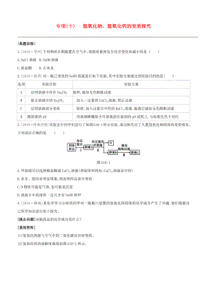 （淮安專(zhuān)版）2020中考化學(xué)復(fù)習(xí)方案 專(zhuān)項(xiàng)10 氫氧化鈉、氫氧化鈣的變質(zhì)探究試題