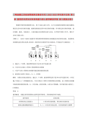 （粵渝冀遼蘇皖閩鄂湘津京魯瓊專用）2022-2023學(xué)年高中生物 第3章 基因的本質(zhì)知識(shí)體系構(gòu)建與核心素養(yǎng)解讀學(xué)案 新人教版必修2