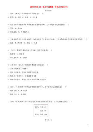 湖南省2018年中考化學復習 課時訓練16 化學與健康 有機合成材料練習