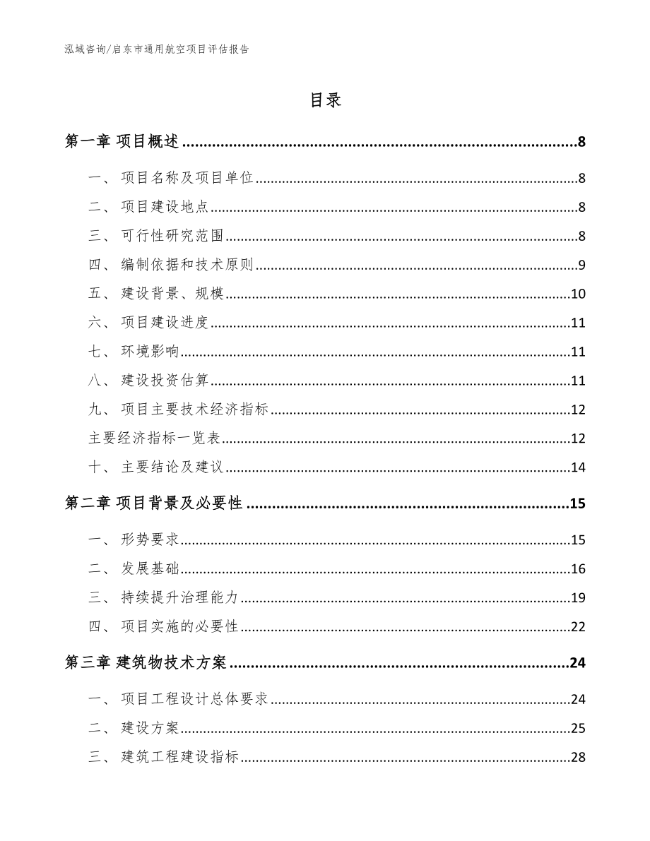 启东市通用航空项目评估报告范文模板_第1页