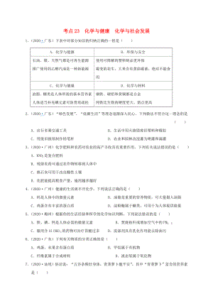 （廣東專版）2020年中考化學專題練習 考點23 化學與健康 化學與社會發(fā)展（無答案）