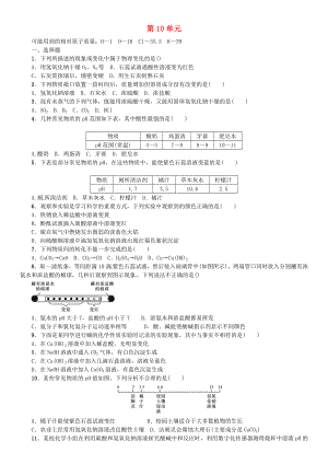 河北省石家莊創(chuàng)新國際學(xué)校九年級化學(xué)下冊 第10單元 綜合測試題（無答案） 新人教版