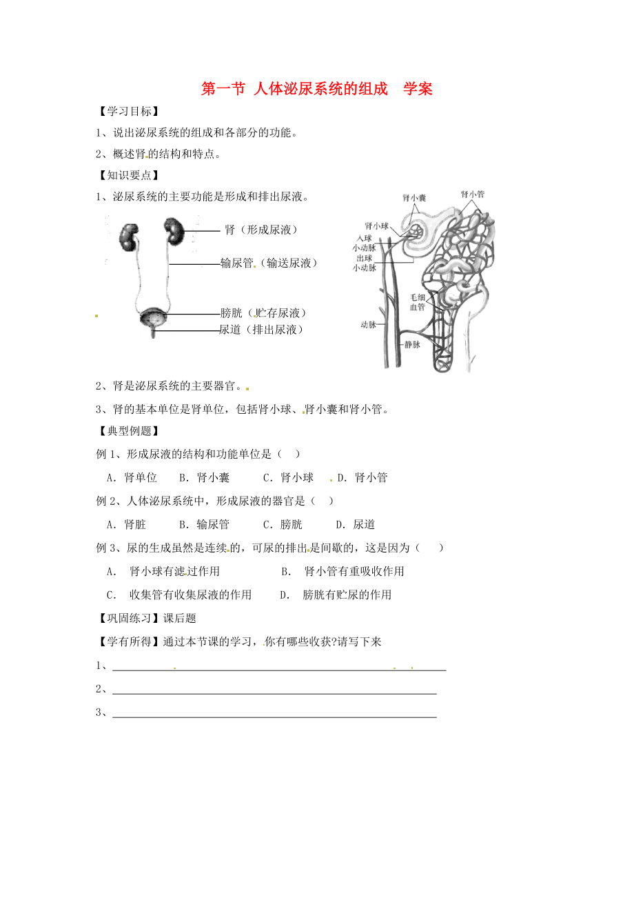 2020七年級生物下冊 4.11.1 人體泌尿系統(tǒng)的組成學(xué)案（無答案） （新版）蘇教版_第1頁