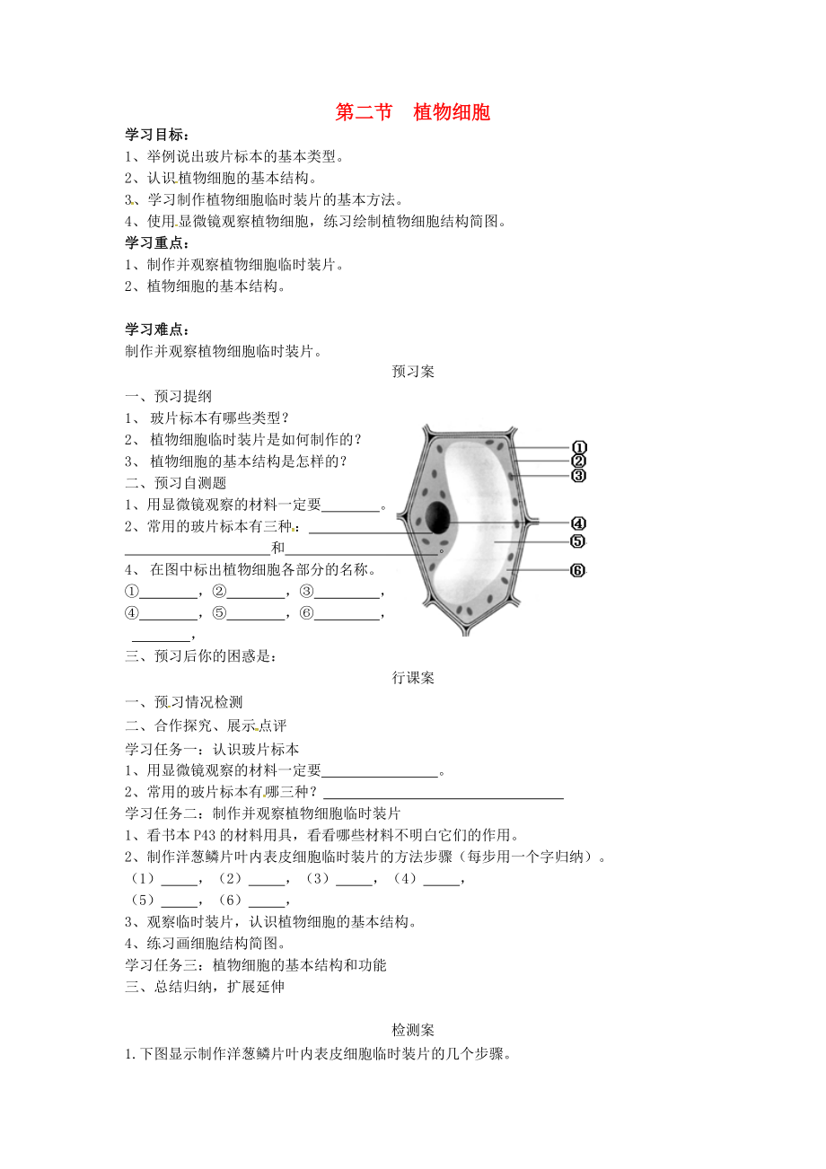 2020年秋七年級生物上冊 第二單元 第一章 第二節(jié) 植物細(xì)胞學(xué)案（無答案） 新人教版_第1頁