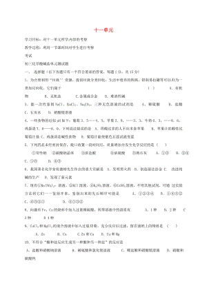 河北省保定市雄縣九年級化學下冊 第11單元 鹽、化肥測試題導學案（無答案）（新版）新人教版（通用）