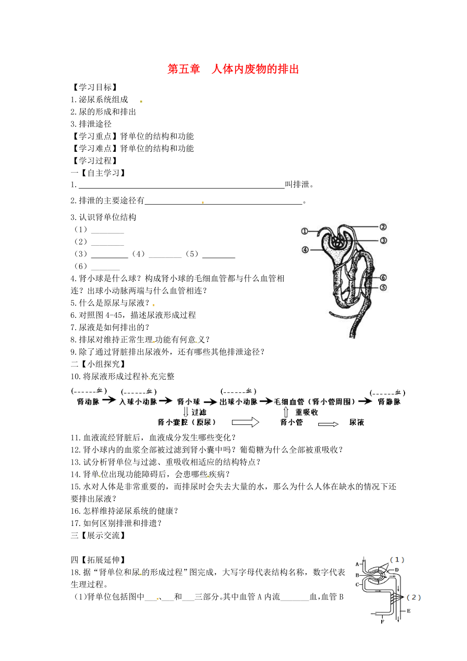 2020年春七年級生物下冊 第四單元 第五章 人體內(nèi)廢物的排出學(xué)案（無答案）（新版）新人教版_第1頁