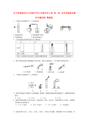 遼寧省凌海市石山初級中學九年級化學上冊 第一章 化學實驗基本操作專題訓練（無答案） 粵教版