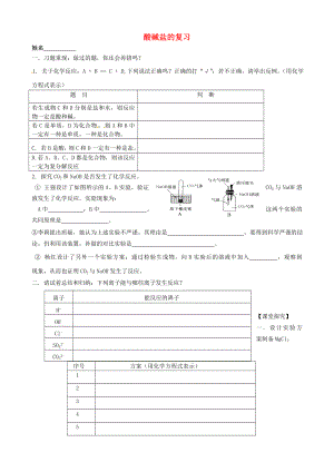 江蘇省南京市溧水區(qū)孔鎮(zhèn)中學(xué)2020屆中考化學(xué) 第10單元 復(fù)習(xí)（無(wú)答案）