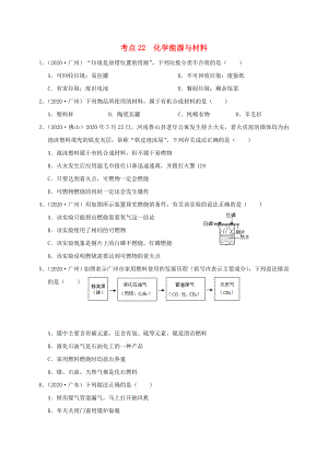 （廣東專版）2020年中考化學專題練習 考點22 化學能源與材料（無答案）