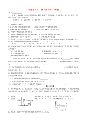 江蘇省南京市溧水區(qū)孔鎮(zhèn)中學(xué)九年級化學(xué)專題復(fù)習(xí) 鑼不敲不響2020響銅學(xué)案2（無答案） 新人教版