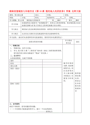 湖南省望城縣九年級歷史《第16課 殖民地人民的抗?fàn)帯穼W(xué)案（無答案） 北師大版