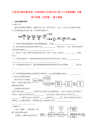 江蘇省無(wú)錫市新區(qū)第一實(shí)驗(yàn)學(xué)校九年級(jí)化學(xué)下冊(cè)《工業(yè)流程題》專題復(fù)習(xí)學(xué)案（無(wú)答案） 新人教版