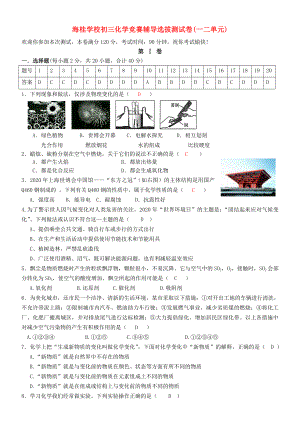 海南省海桂学校九年级化学竞赛辅导选拔测试卷
