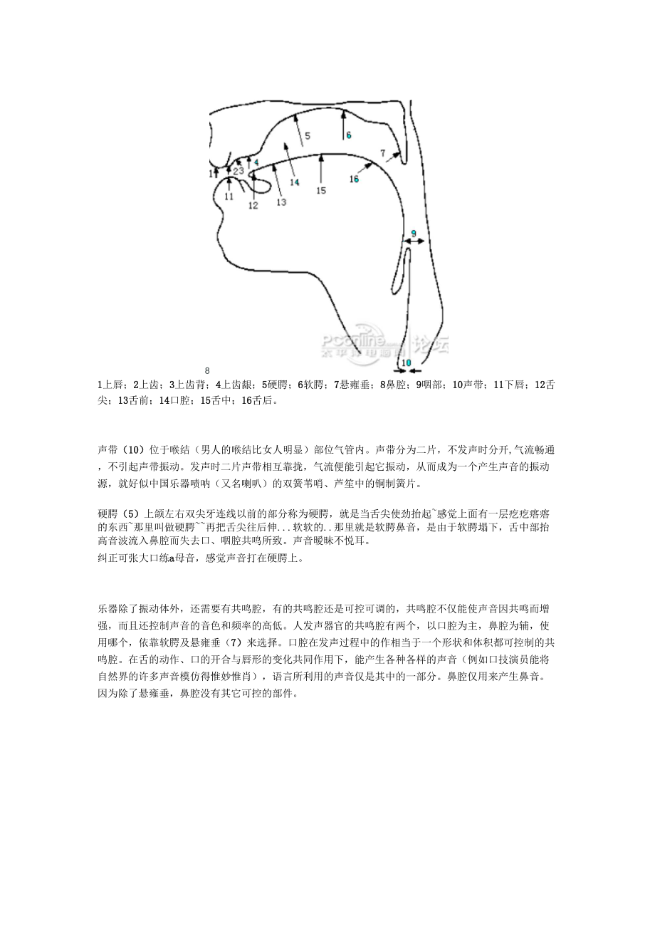 口腔中的各個(gè)發(fā)聲器官的具體位置_第1頁