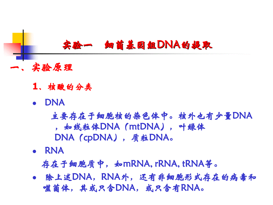 细菌基因组DNA的提取_第1页