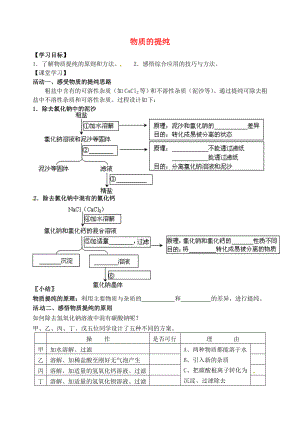 江蘇省南京市溧水縣孔鎮(zhèn)中學(xué)2020屆中考化學(xué)專題復(fù)習(xí) 物質(zhì)的提純學(xué)案（無答案）