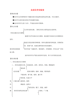 （新課標(biāo)）2020中考化學(xué)專題復(fù)習(xí)講練 走進(jìn)化學(xué)實(shí)驗(yàn)室（無答案）