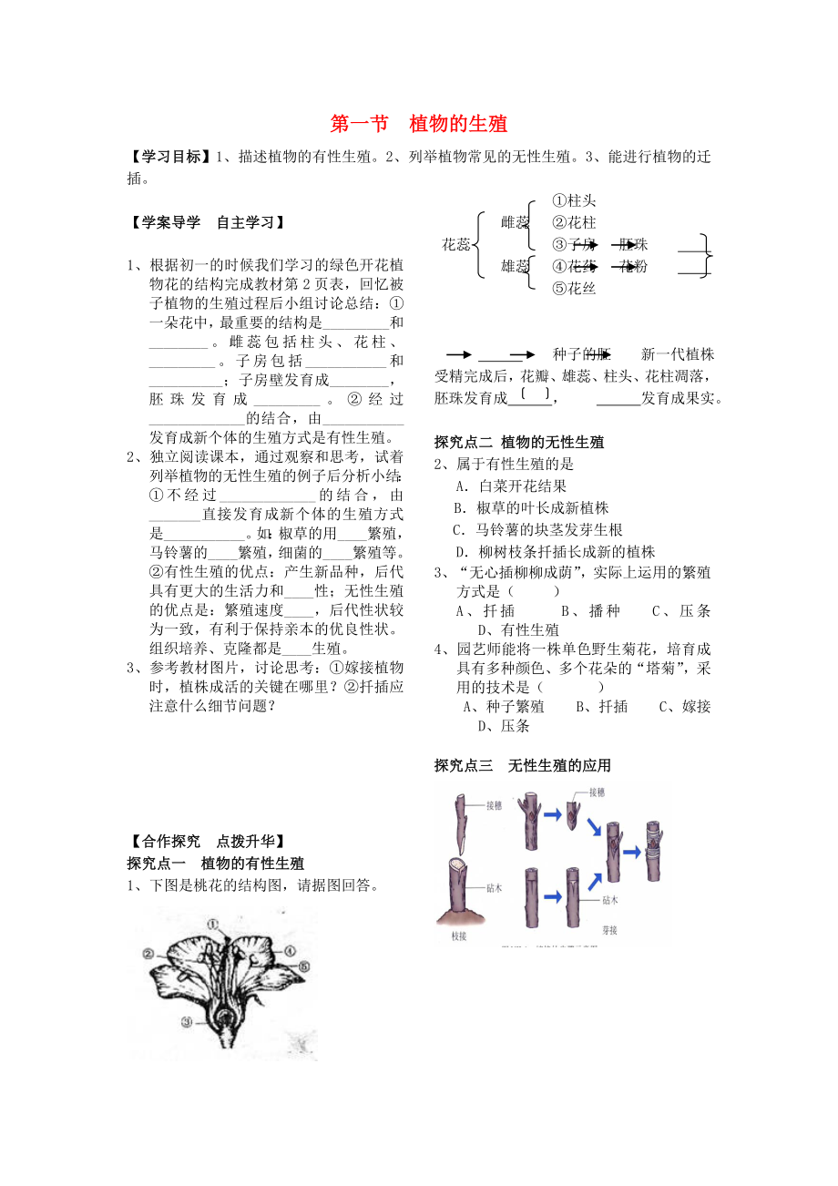 2020春八年级生物下册 第七单元 第一章 第一节 植物的生殖学案（无答案） 新人教版_第1页