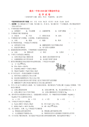 重庆一中初2020级九年级化学下期第一次考前模拟人教版