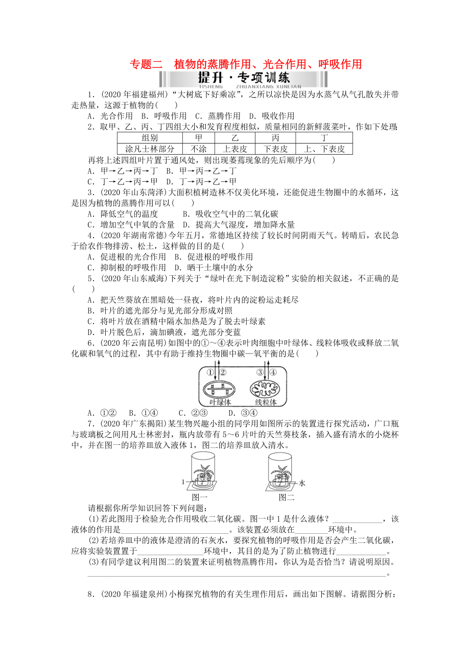 【南方新中考】（南粵專(zhuān)用）2020中考生物 第二部分 專(zhuān)題訓(xùn)練 高頻考題 專(zhuān)題二 植物的蒸騰作用、光合作用、呼吸作用檢測(cè)復(fù)習(xí)_第1頁(yè)