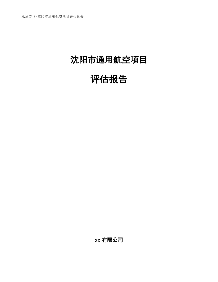 沈阳市通用航空项目评估报告【范文】_第1页