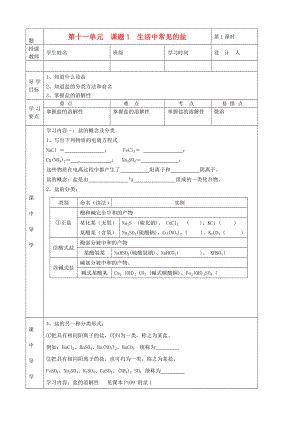 湖北省武漢市陸家街中學(xué)九年級化學(xué)下冊 11第十一單元 課題1 生活中常見的鹽導(dǎo)學(xué)案（無答案） 新人教版