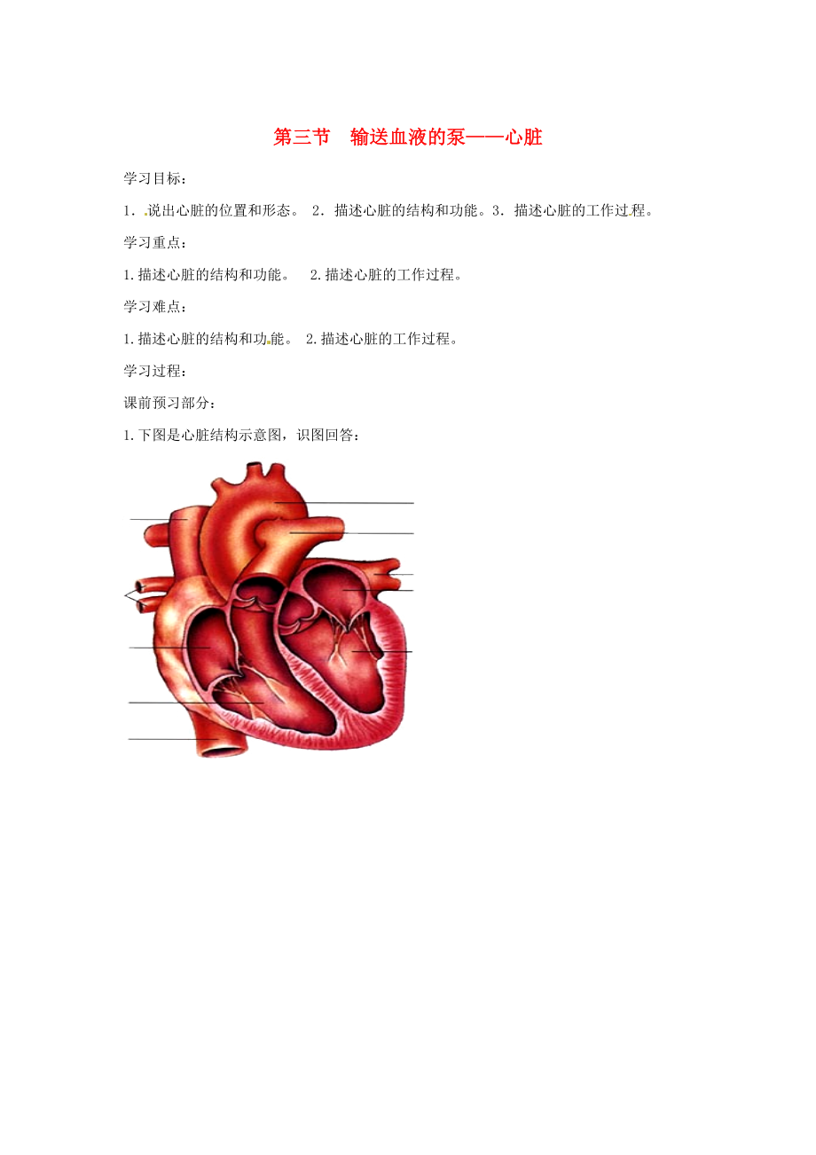 2020年春七年級(jí)生物下冊(cè) 第四單元 第四章 第三節(jié) 輸送血液的泵 心臟學(xué)案（無(wú)答案）（新版）新人教版_第1頁(yè)