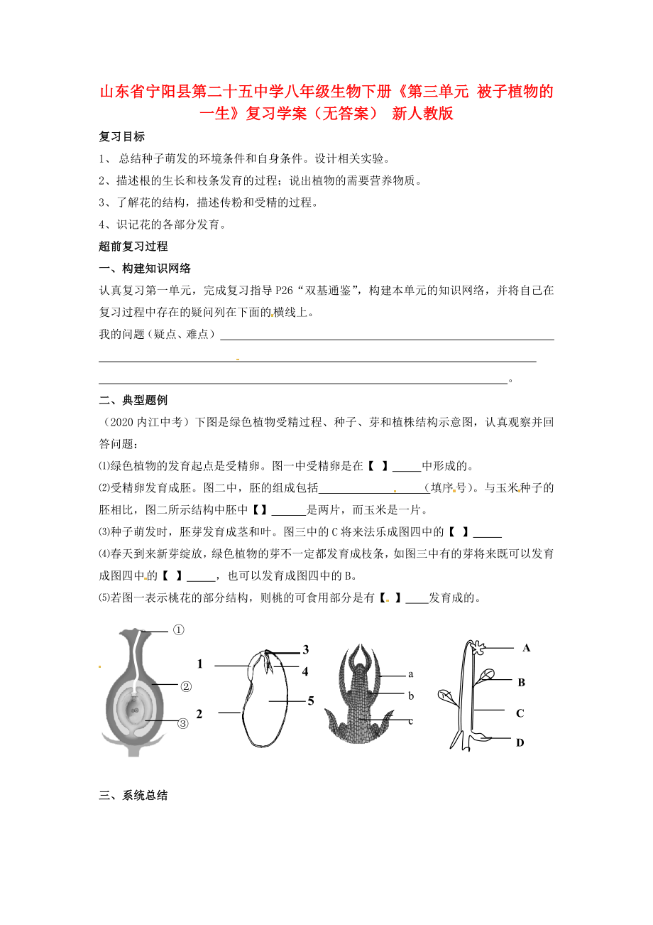 山東省寧陽(yáng)縣第二十五中學(xué)八年級(jí)生物下冊(cè)《第三單元 被子植物的一生》復(fù)習(xí)學(xué)案（無(wú)答案） 新人教版_第1頁(yè)