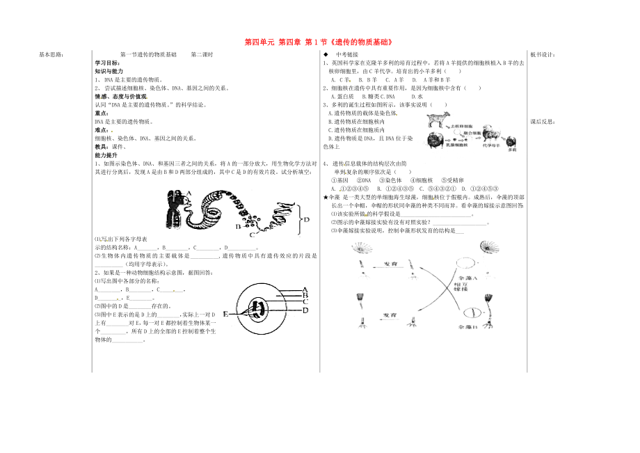 山東省德州市夏津?qū)嶒?yàn)中學(xué)八年級(jí)生物上冊(cè) 第四單元 第四章 第1節(jié)《遺傳的物質(zhì)基礎(chǔ)》（第2課時(shí)）教學(xué)案（無(wú)答案） 濟(jì)南版_第1頁(yè)