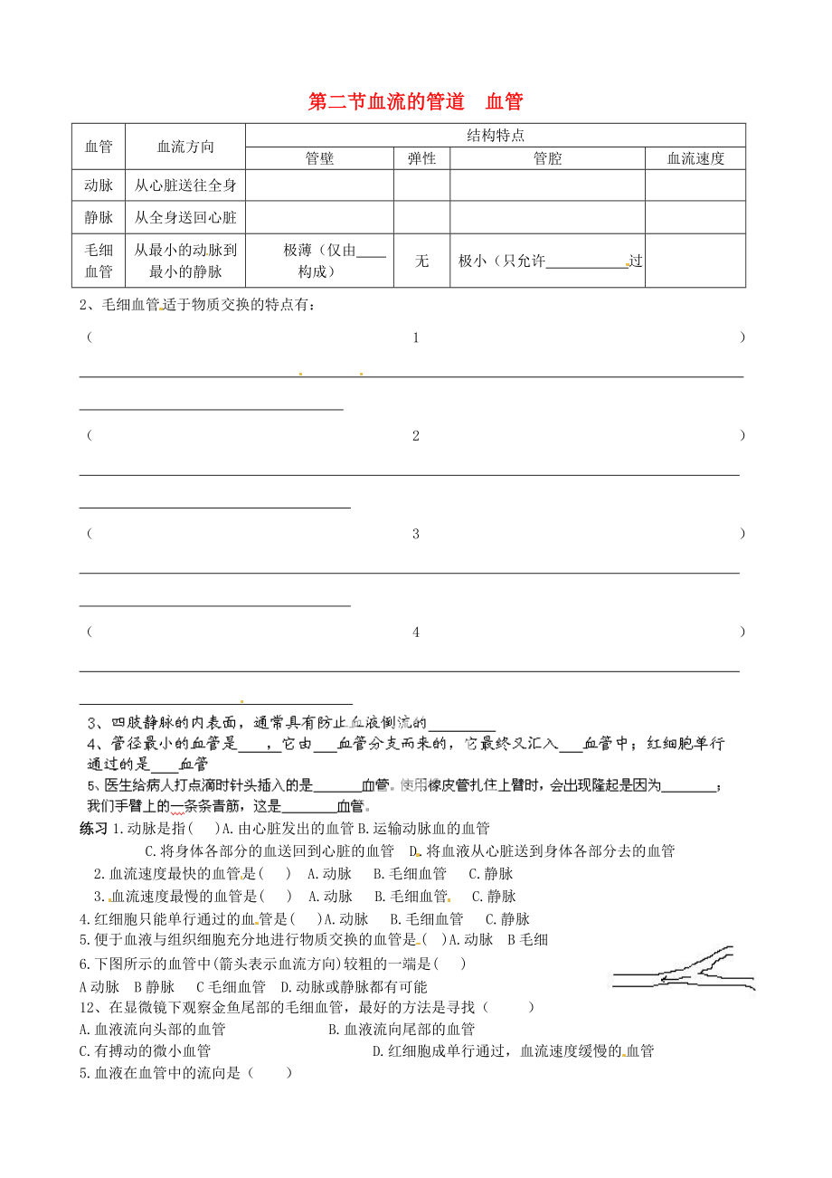 山東省淄博市沂源縣中莊鄉(xiāng)中學(xué)八年級生物上冊 第四單元 第四章第1節(jié)《血流的管道 血管》導(dǎo)學(xué)案（無答案） 魯科版_第1頁