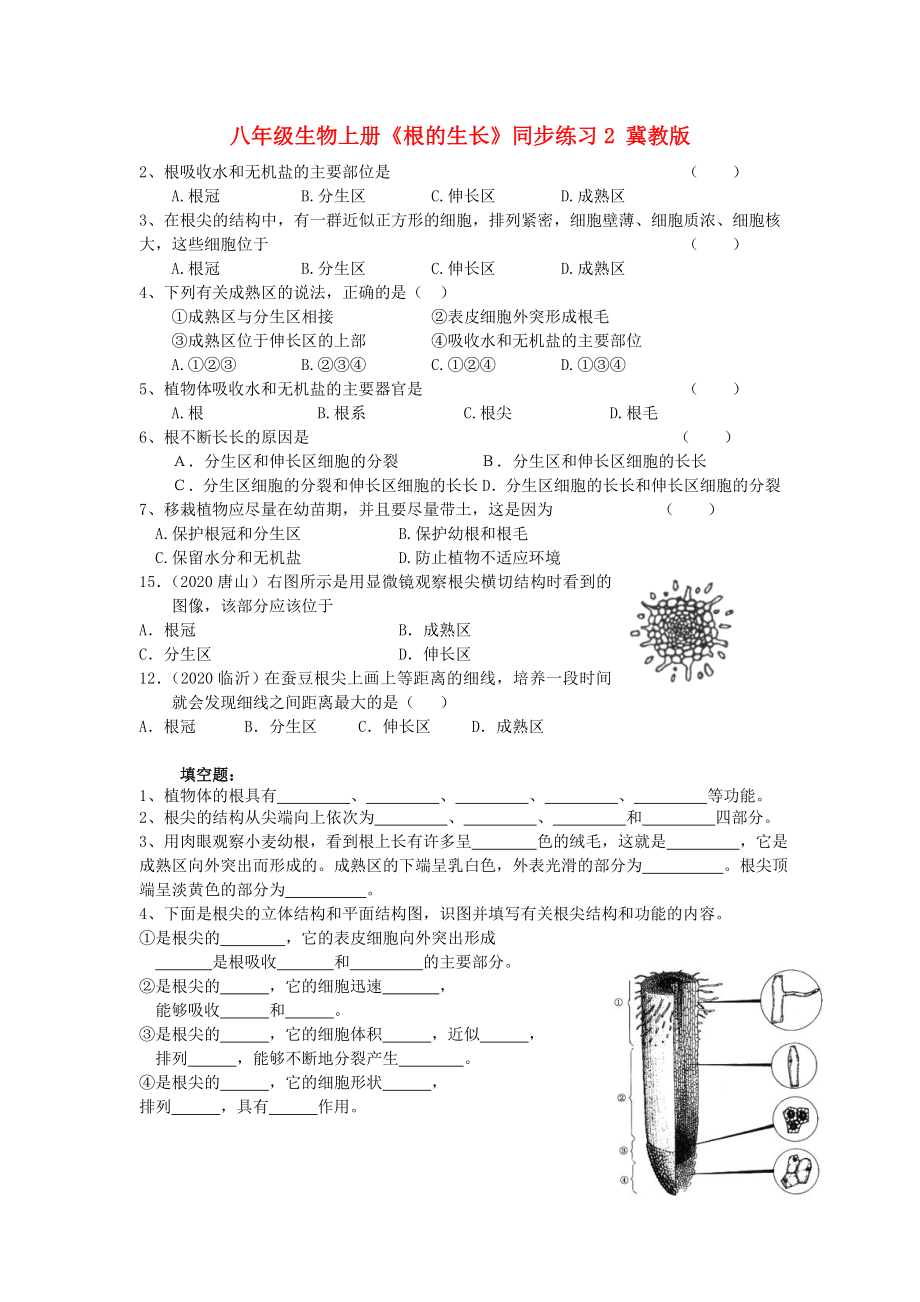 八年級生物上冊《根的生長》同步練習2（無答案） 冀教版（通用）_第1頁